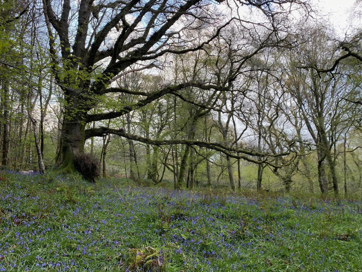 Hotel Hartridge Springs Honiton Esterno foto